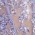 PERIWINKLE