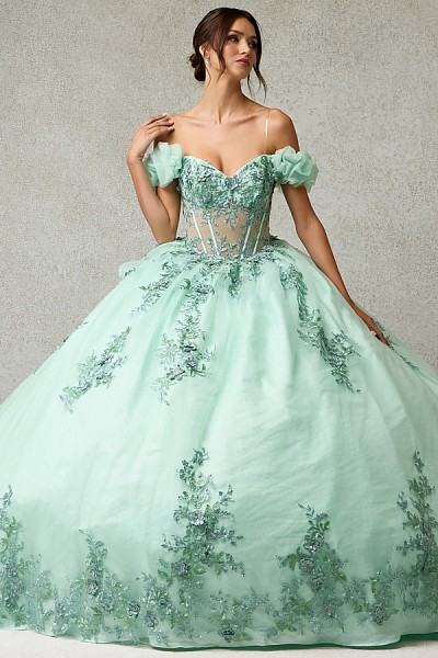 Quinceanara Ballgown w. Off Shoulde...