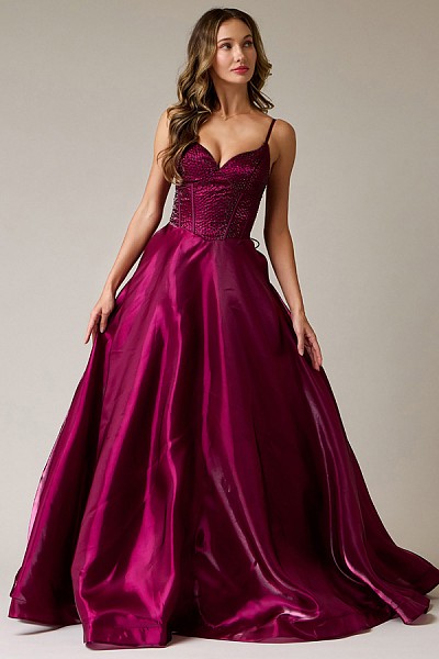 A Line Sleeveless Organza Dress