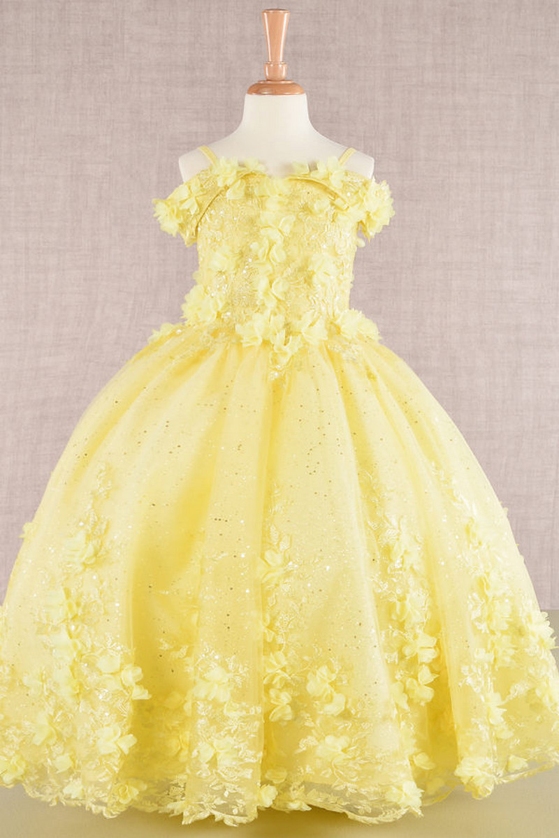 3D Floral Applique Glitter A Line Girl Dress