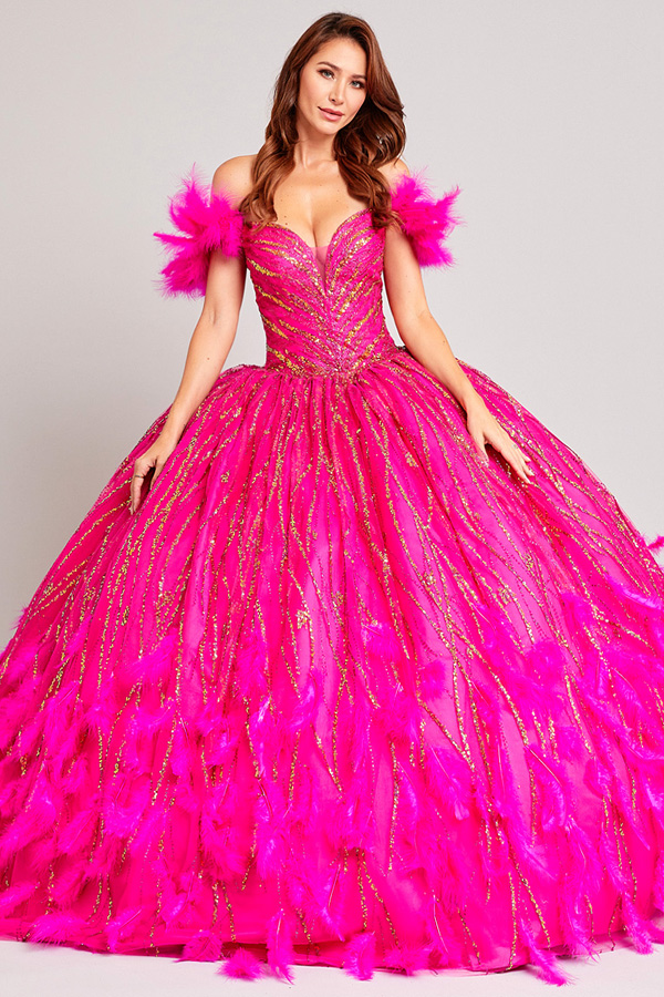 Off Shoulder V Neck Feather Applique Quinceanera Ball Gown