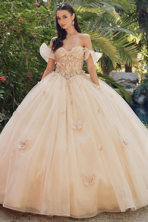 3D Butterfly Applique Off Shoulder Quinceanera Ball Gown