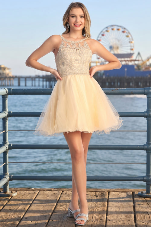 Lace Illusion Scoop Neck Sleeveless Short Tulle A-Line Prom Dress | CQ50363