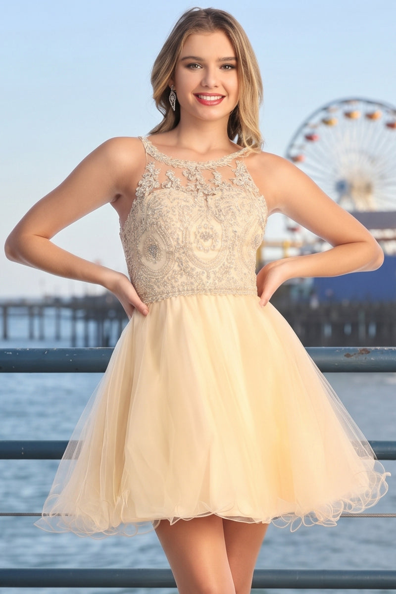 Lace Illusion Scoop Neck Sleeveless Short Tulle A-Line Prom Dress | CQ50363