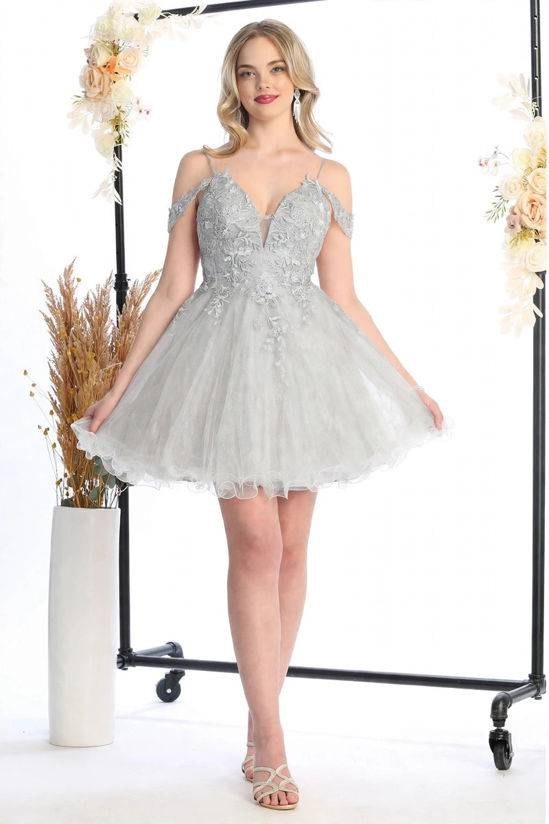 50472-AI-SILVER