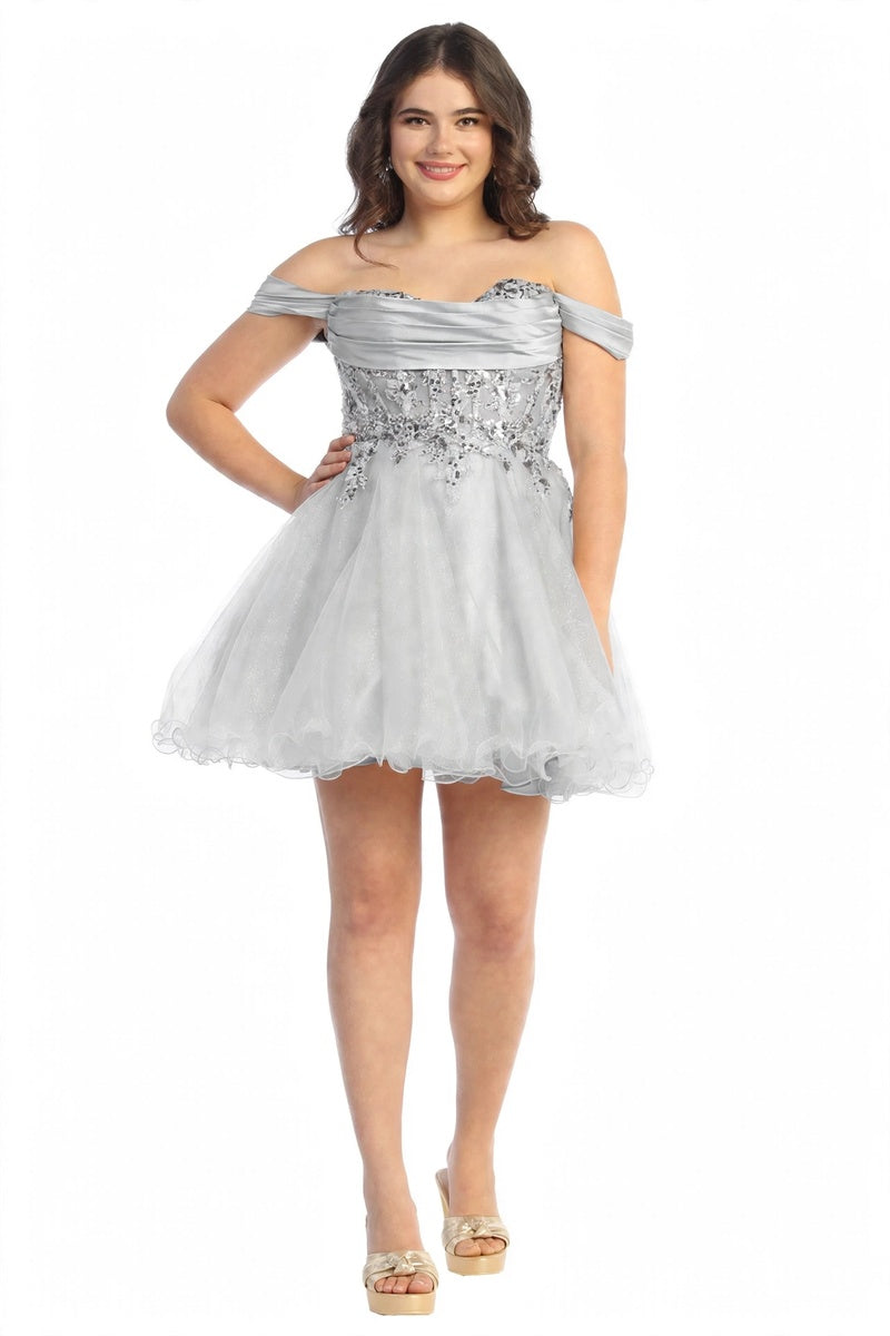 50521-AI-SILVER