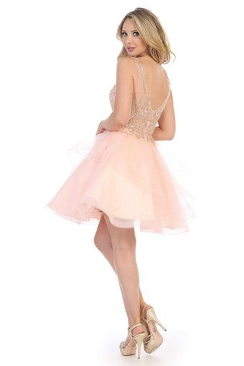 Blush sleeveless embellished tulle a-line cocktail dress, back view