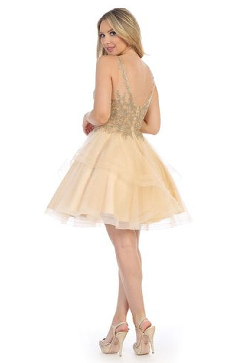 Champagne sleeveless embellished tulle a-line cocktail dress, back view