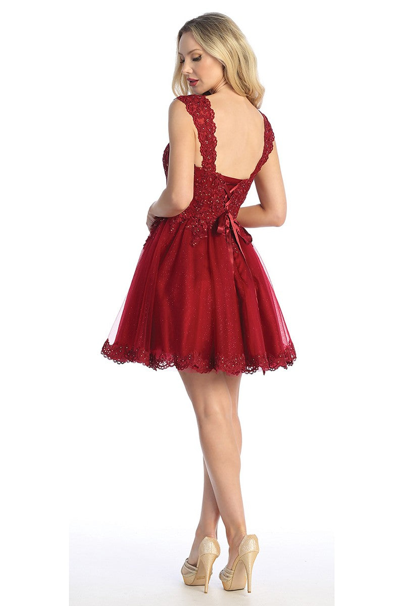 Burgundy cap sleeve tulle a-line cocktail dress, back view