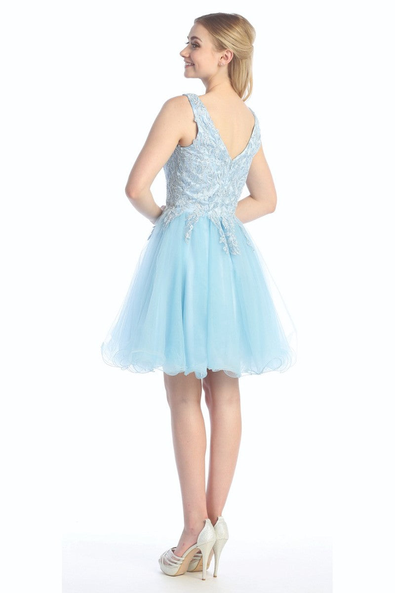 Baby Blue sleeveless tulle a-line cocktail dress, back view