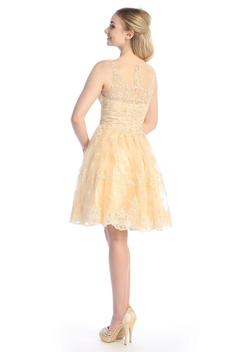 Champagne sleeveless tulle a-line cocktail dress, back view