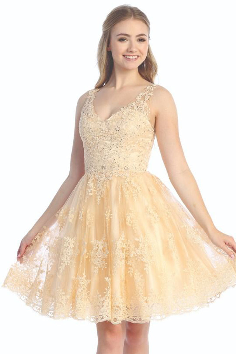 Sleeveless Tulle A-Line Cocktail Dress | 196-250
