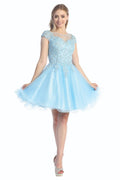 Baby Blue cap sleeve tulle a-line cocktail dress, front view