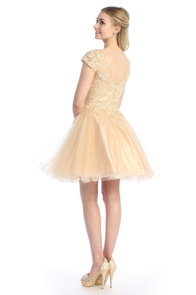 Champagne cap sleeve tulle a-line cocktail dress, back view