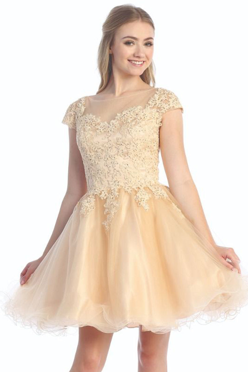 Cap Sleeve Tulle A-Line Cocktail Dress | 196-261