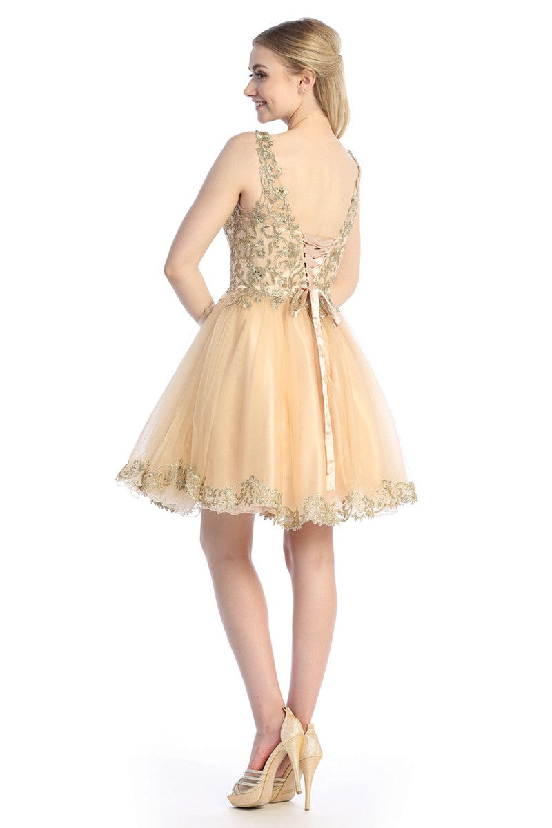 Champagne sleeveless tulle a-line cocktail dress, back view