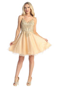 Champagne v neck embellished tulle a-line cocktail dress, front view