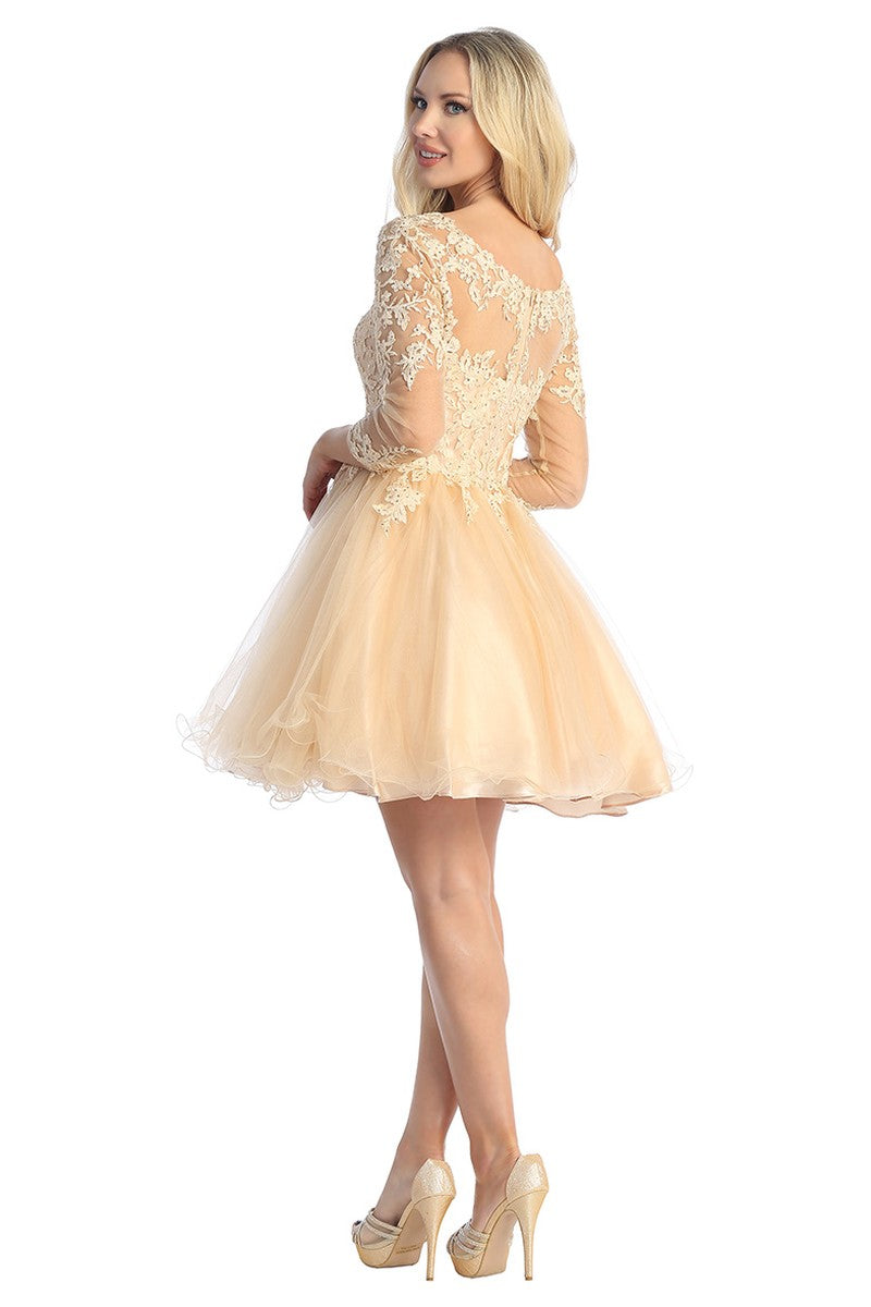Champagne three-quarter sleeve tulle a-line cocktail dress, back view