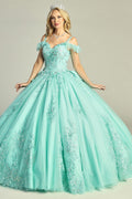 Mint off shoulder lace applique tulle prom gown, front view