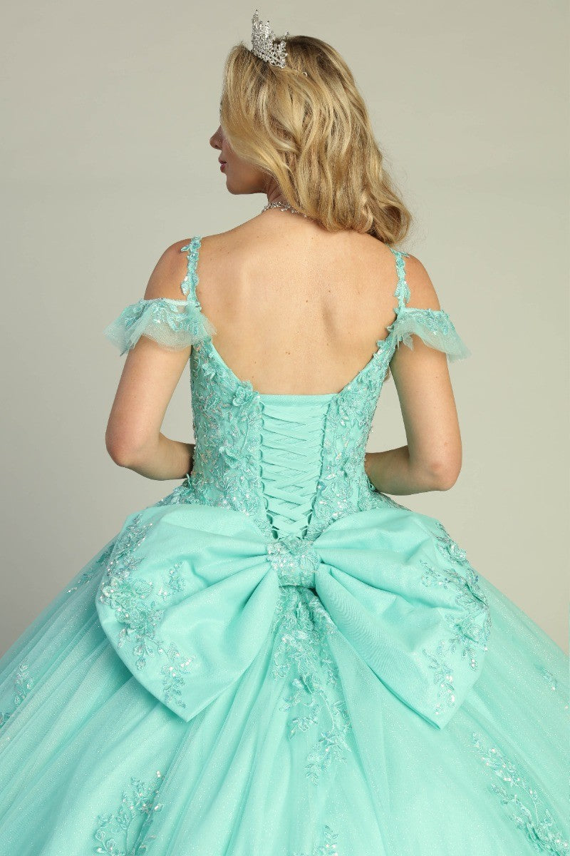 Mint off shoulder lace applique tulle prom gown, back view