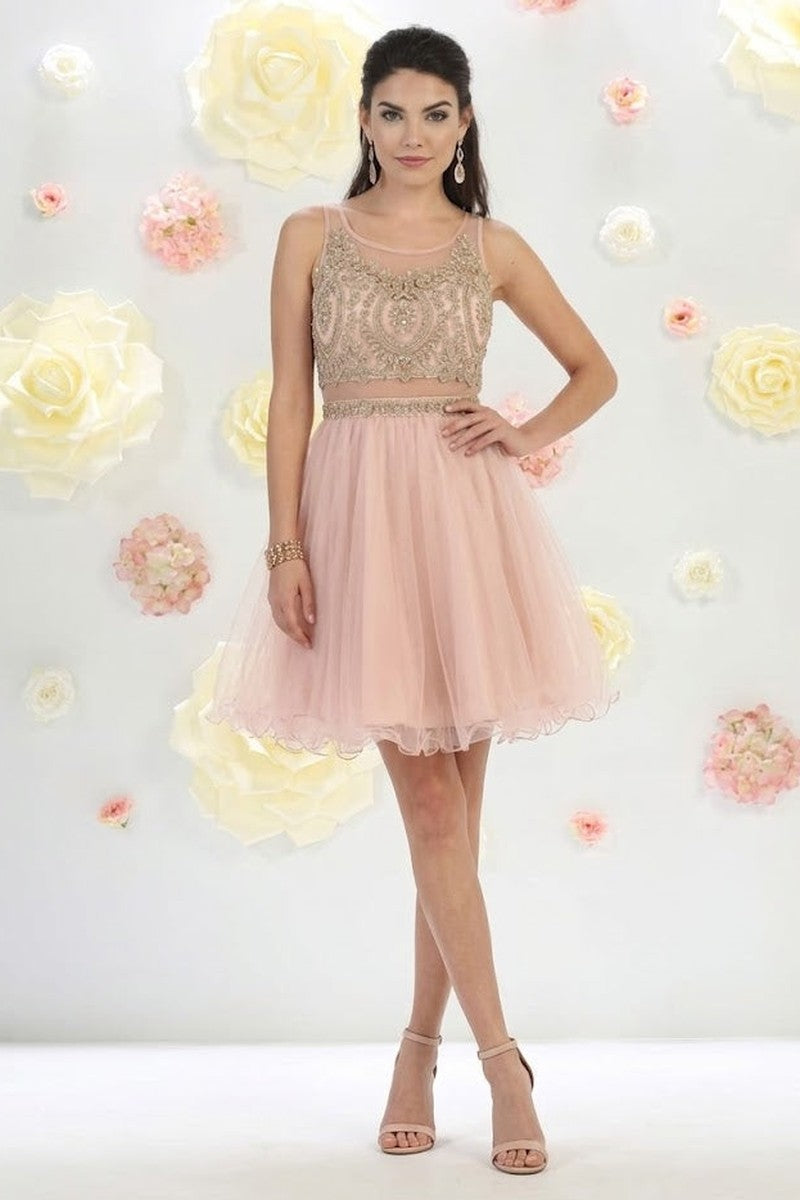 Sleeveless Mesh Embroidered Party Cocktail Dress A-line Hoco Graduation Outfit