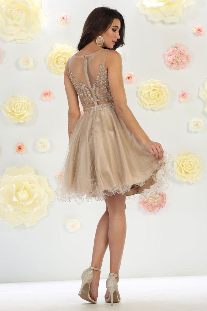 Sleeveless Mesh Embroidered Party Cocktail Dress A-line Hoco Graduation Outfit
