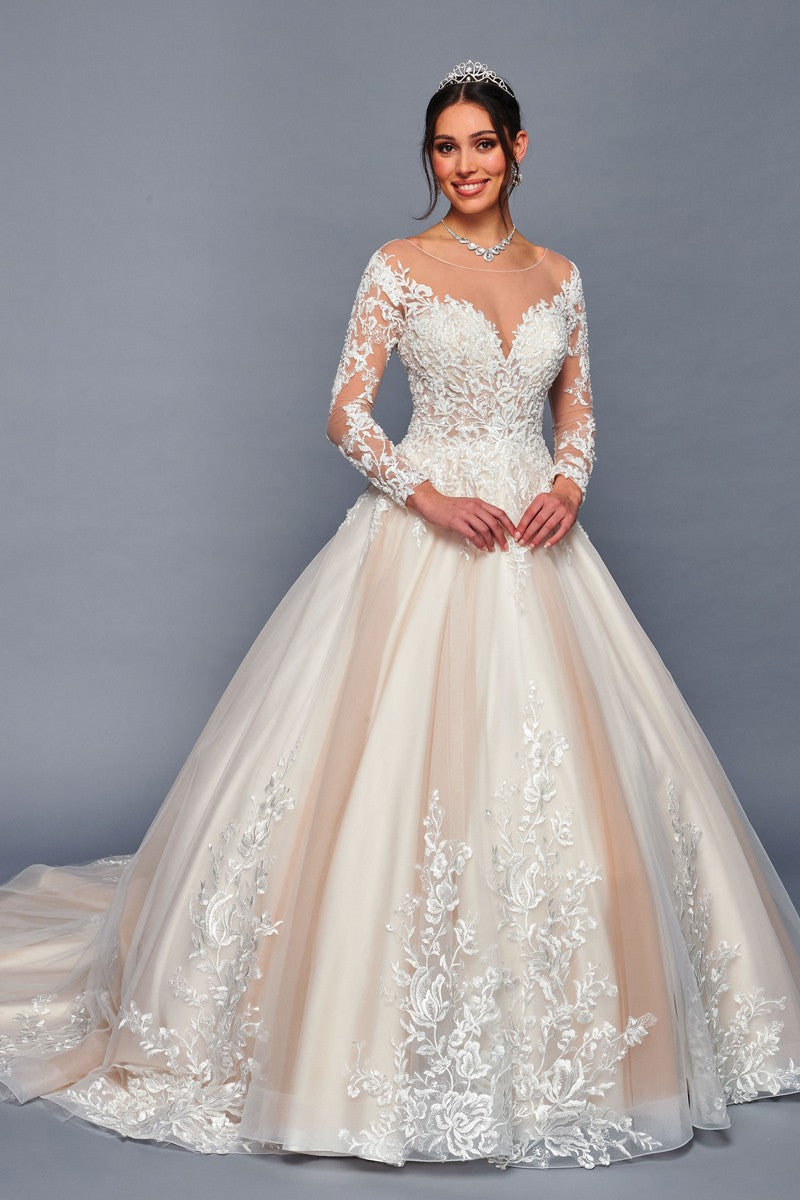 478-W-LA_Champagne_4885606