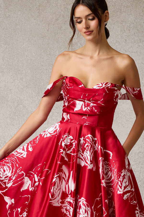 AN2544-PRINT_Red_5424319