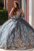 433-318-Butterfly_Gray_4889094