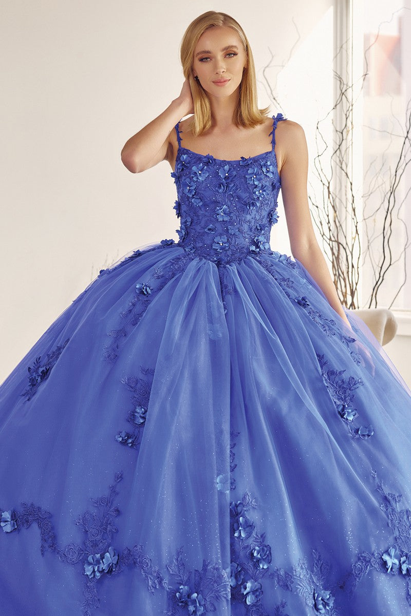 111-436-PROMO-Z_RoyalBlue_4867563