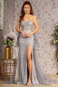 433-273_Silver_4889034