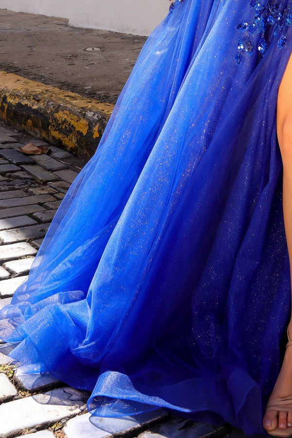 H1350_RoyalBlue_4892207