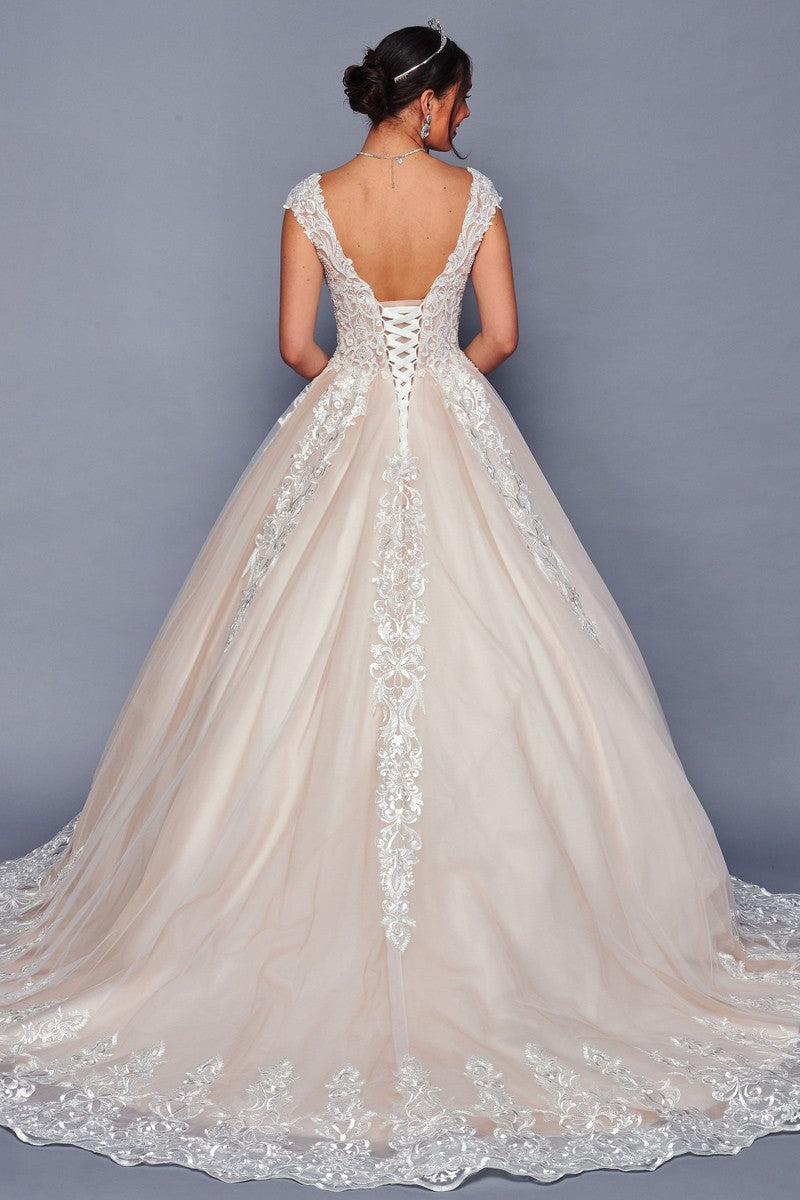 479-W-LA_Champagne_4885620