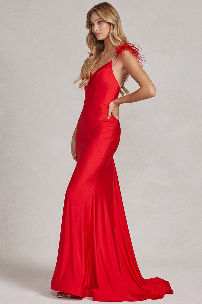T1138-Feather_Red_4876509
