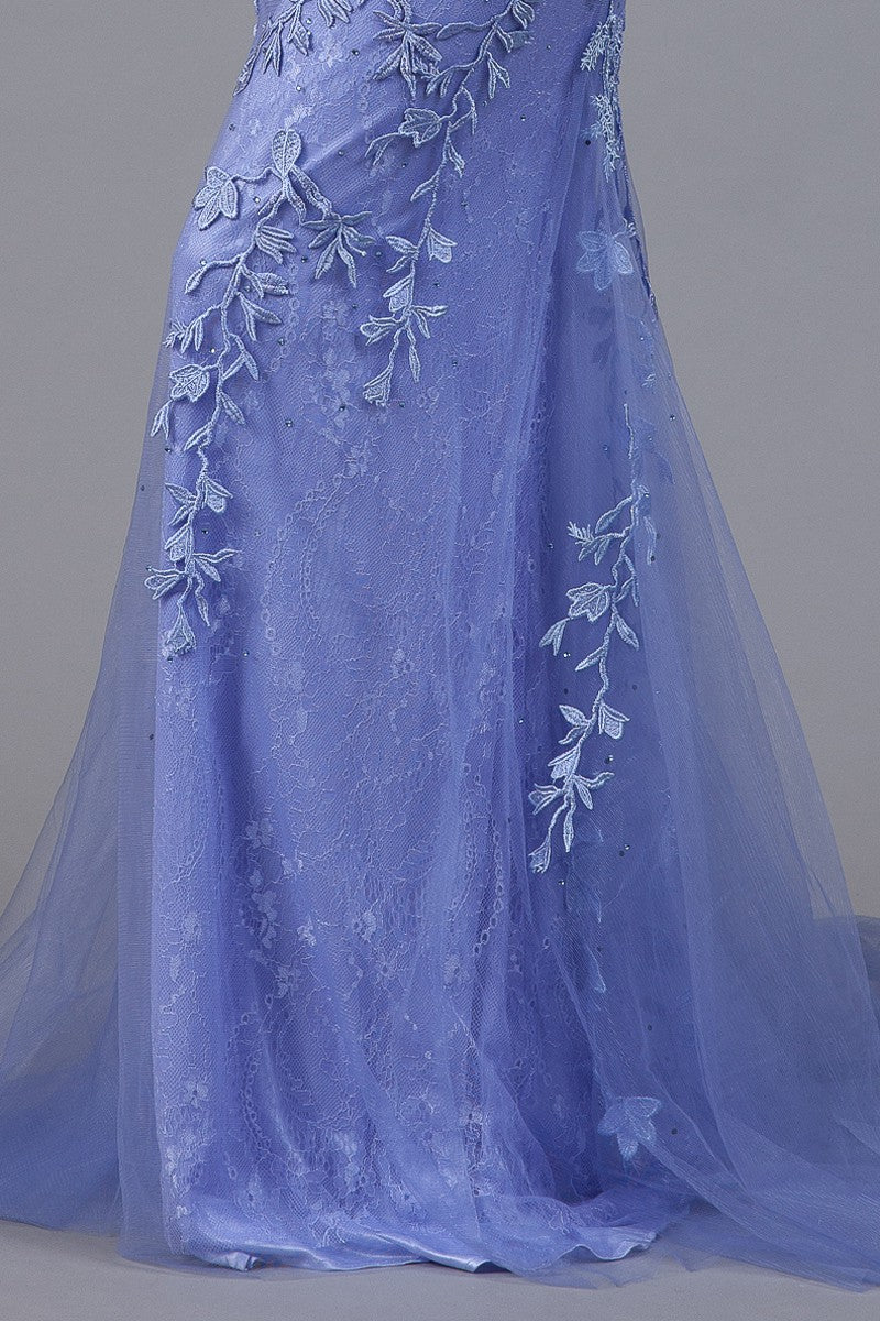 7024_Periwinkle_4873046