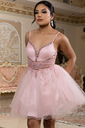MQ2192-20-Short_Blush_4910892