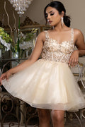 MQ2149-20_Champagne_4901992