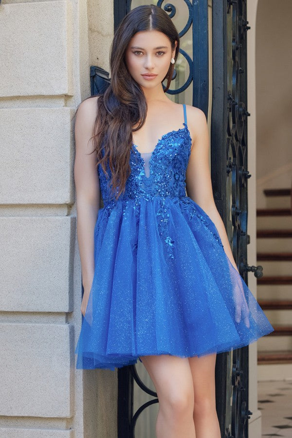E902_RoyalBlue_4895943
