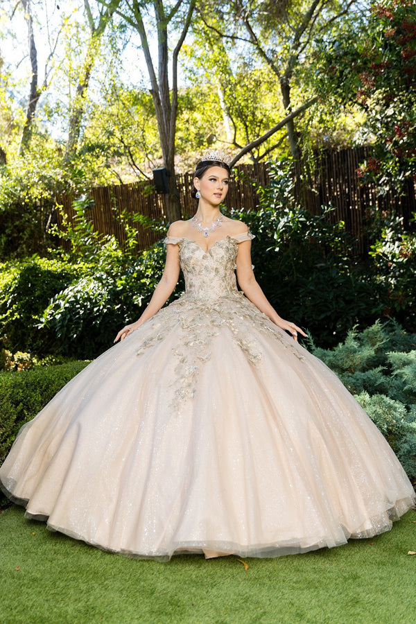 478-046-Q_Champagne_4833193