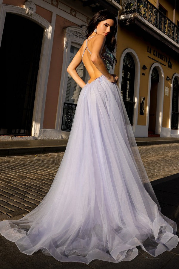 G1354_Periwinkle_4889307