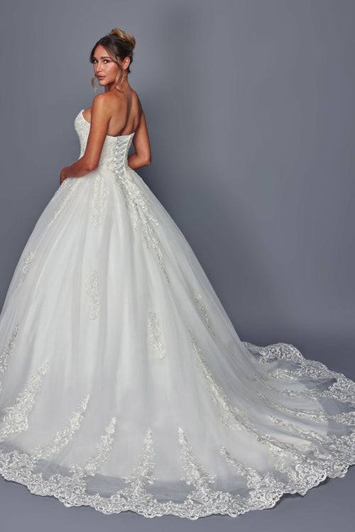 487_Ivory_4906128