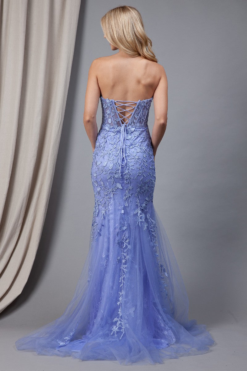 7024_Periwinkle_4873045