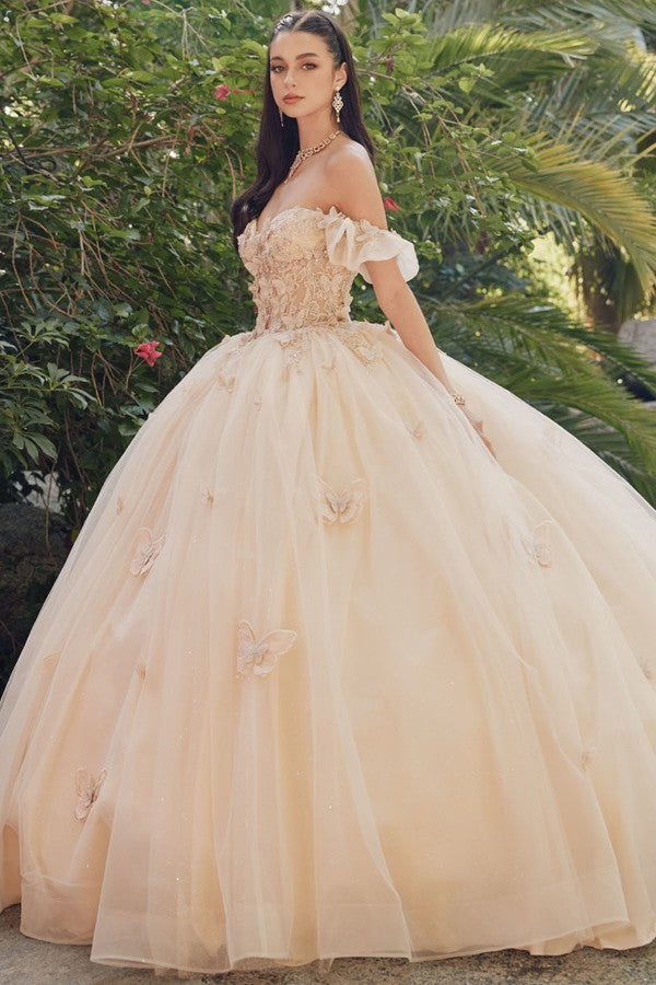 111-448-Butterfly_Champagne_4893195