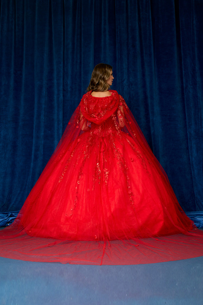 KL2134-Cape_Red_5970852