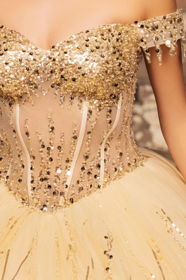 LK264_Champagne_4900317