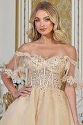 141-078-Short_Champagne_4909685
