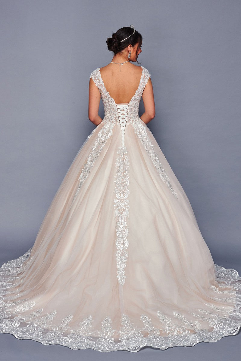 479-W-LA_Champagne_4885619