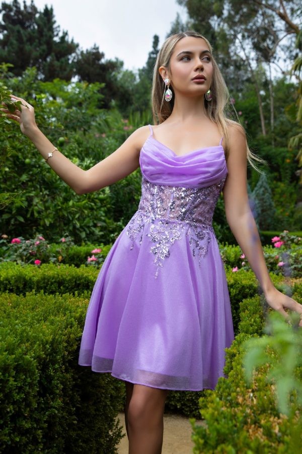 433-507_Lilac_4899696