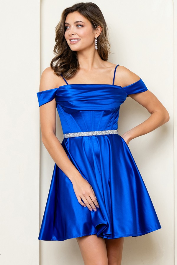 283-529-4X-S_RoyalBlue_4907890