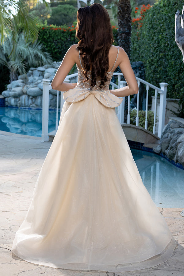 RQ8234-20-Overskirt_Champagne_5072328